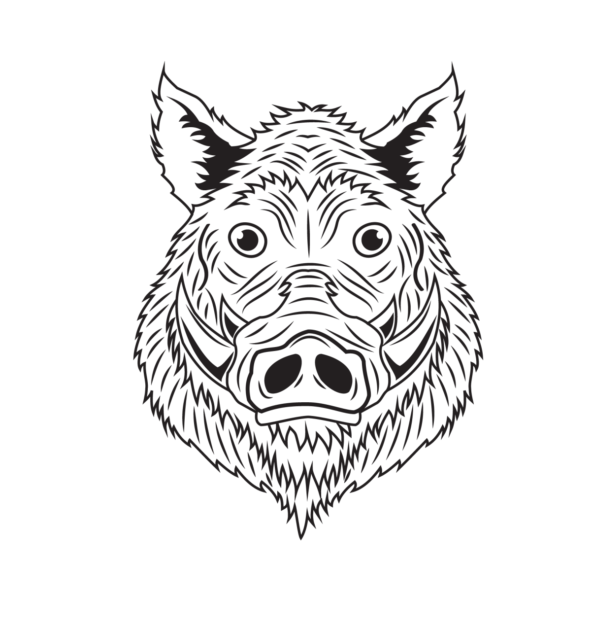 BoarVenturers logo